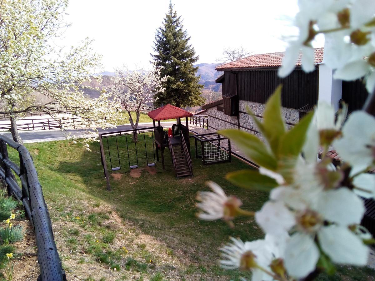 Panorama Family Hotel